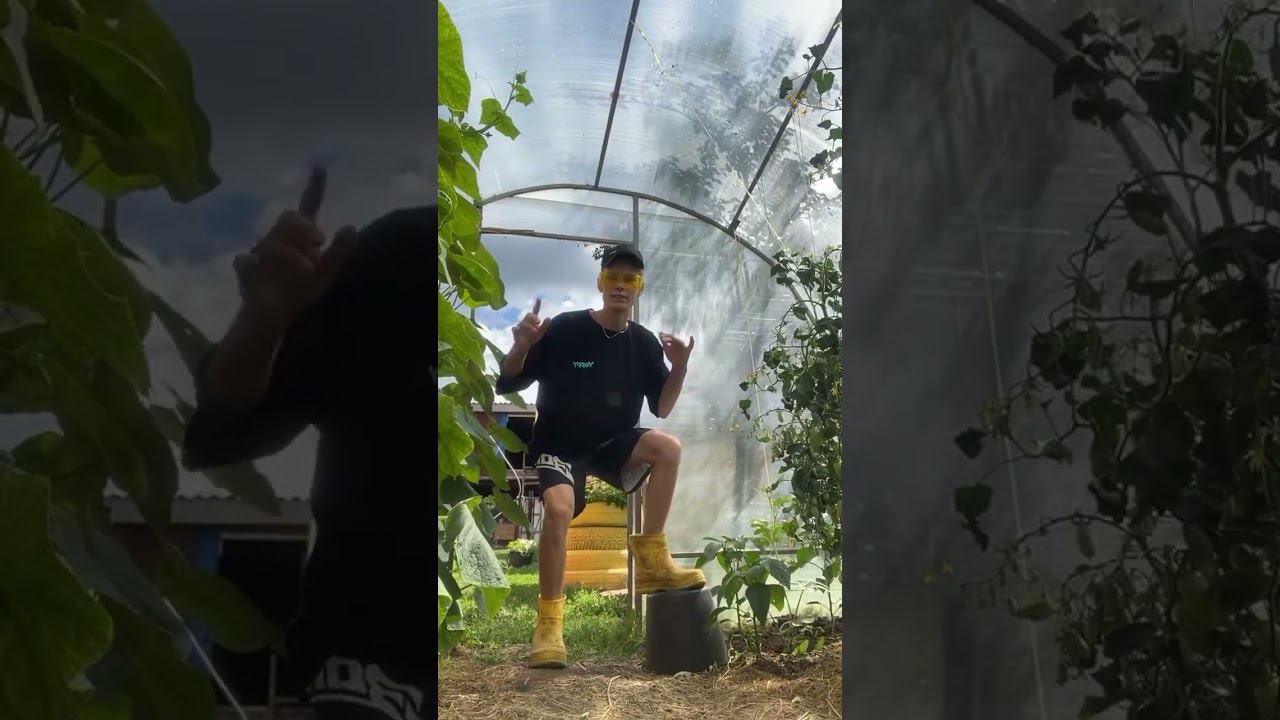 В 19 дожил до своей теплицы смотреть онлайн