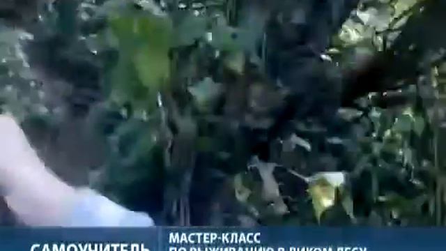 Как выжить в диком лесу смотреть онлайн