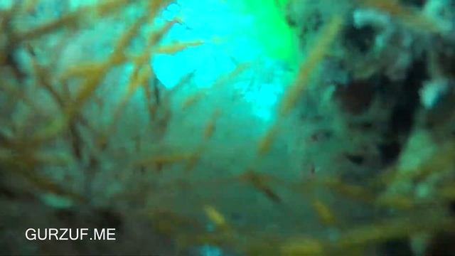 Погружение камеры под  Гурзуфский причал : Крым : Гурзуф апрель  2018 смотреть онлайн