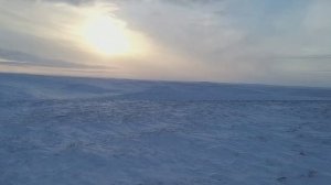 На Вездеходе Русак К 8 из Салехарда до Сеяхи и обратно 1400 км