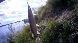 Рыбалка на карьере/Щука/Спиннинг/Клевало на блесну