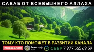 СУРА ЯСИН НА ВСЮ НОЧЬ! УСПОКАИВАЕТ ДУШУ. ИН ШАА АЛЛАХ!