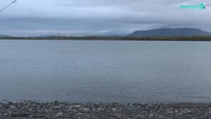 Рыбалка на налима на реке Норильская с Норильск ТВ