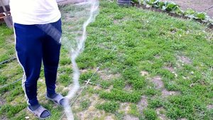 Малявница//собираем вместе