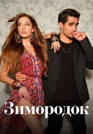 Обзор на Турецкий сериал «Зимородок» на русском языке.