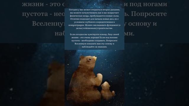 Лунный календарь вторника 14 февраля 24 лунный день МЕДВЕДЬ #лунныйдень #лунныйкалендарь