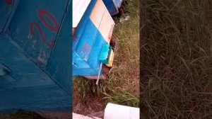 Как собирают пыльцу у пчел