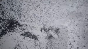 RADIOHEAD - KID A MNESIA EXHIBITION ( by Fatherprogamer )