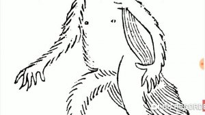 Реакция на котов ютуберов мифы упоротости