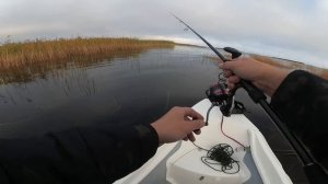 Ловля щуки в камыше на Ладоге