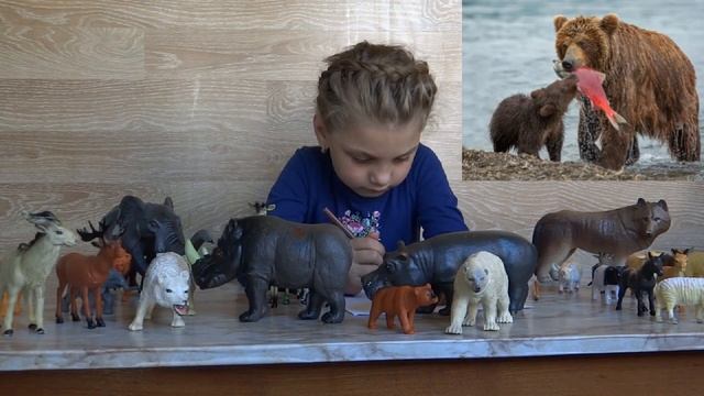 Изучаем диких животных с детьми Медведь Гризли. Интересные факты о медведях Гризли смотреть онлайн