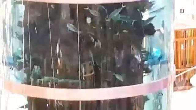 ТЦ в Москве смотреть онлайн