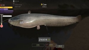 Сом на 100кг - Русская рыбалка 4 - Russian Fishing 4