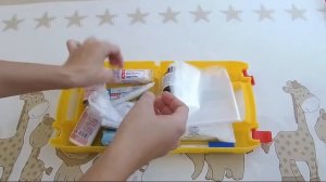 Аптечка  мамы и малыша ФЭСТ.