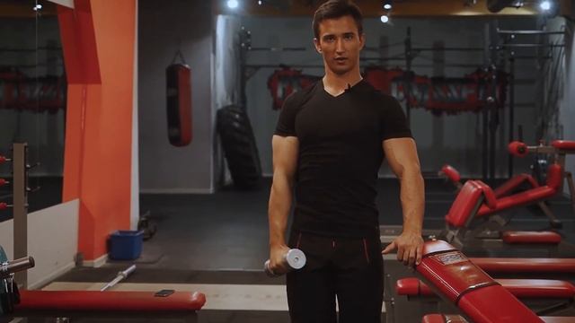 172 отведение гантелей по одной руке на среднюю дельту стоя смотреть онлайн