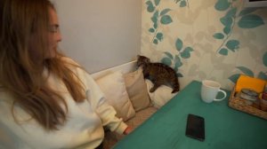 ВПЕРВЫЕ - ПРИЮТИЛА ЗЛУЮ ПУМУ ?