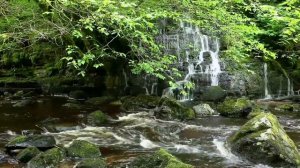 1 Hour Nature Sounds Relaxing Meditation Waterfall Relaxation by Johnnie Lawson Calming Study Aid