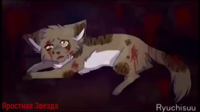 Коты-Воители Бич - Я знаю точно наперёд ( Заказ ) смотреть онлайн