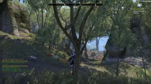 The Elder Scrolls Online #106 - Как быстро прокачаться до 50 уровня?!