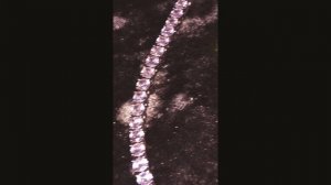 Scally Milano - Буква Х (Feat. Lovv66) Slowed and Reverb