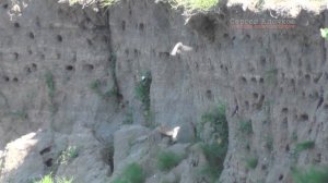 Летом на Мокше Жегалово Мордовия