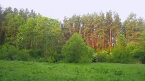 Михаил  Гулько - "Синее  небо  России"