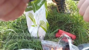 Выбираем бункер под семена.  Сеялка точного высева для больших площадей.