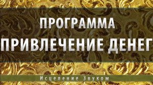Программа привлечение денег