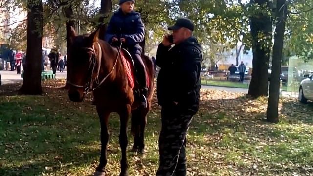 Кривой Рог ЦЫГАНЕ.