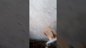 Поилки для КРС своими руками