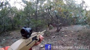 YAKIN TEMAS DOMUZ AVLARI - ( Wild Boar Attacks ) #hunting #wildboar