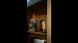 Современная гелевая обработка от тараканов (профессиональный гель аддикт).