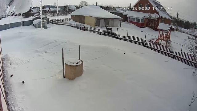 На нашу дачу прилетели куропатки смотреть онлайн