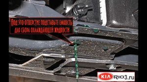 Как заменить охлаждающую жидкость (антифриз) в Kia Rio 3