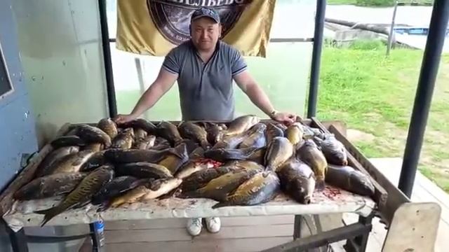 Рыбалка на карпа в Братовщине. смотреть онлайн