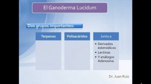 El Reishi o Ganoderma Lucidum por el Dr  Juan Ruiz