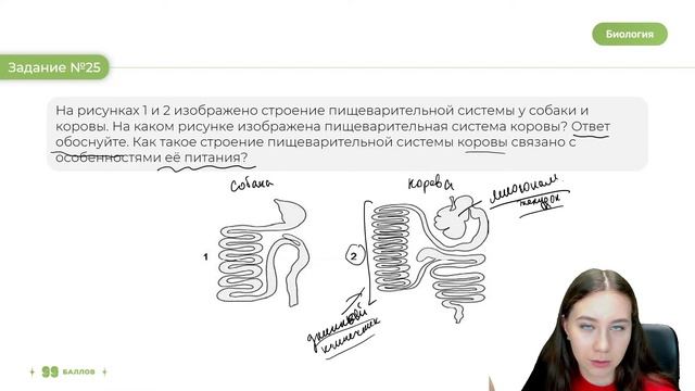 ВТОРАЯ ЧАСТЬ НА МАКСИМУМ | БИОЛОГИЯ ЕГЭ | 99 БАЛЛОВ смотреть онлайн