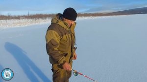 ЗИМНЯЯ рыбалка по ПЕРВОМУ льду. ОКУНЬ со льда. Крупный карась. Удачная рыбалка. Золотой карась