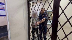 Амурчанин, нарушивший общественный порядок на набережной р. Амур, подвергнут административному арест