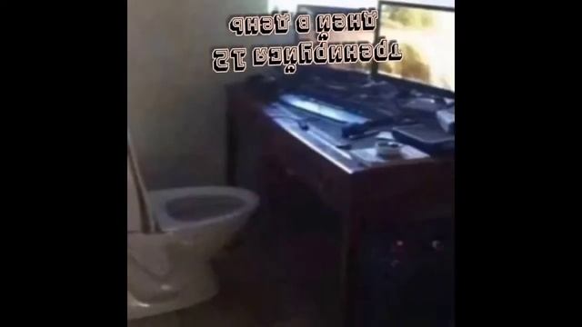 Стань Альфой! смотреть онлайн