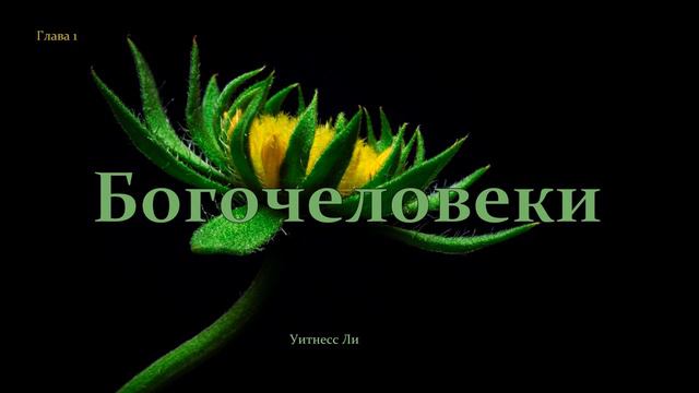 "Богочеловеки" Уитнесс Ли глава 1