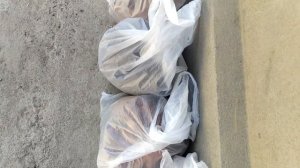 КОПИЛКИ И ЗАПАСЫ ЗЕЛЕНОГО АЛМАТИНЦА! МЕДЬ, ЛАТУНЬ, ЭЛЕКТРОТЕХНИЧЕСКИЙ АЛЮМИНИЙ.