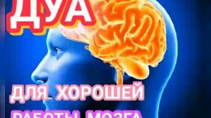 ДУА ДЛЯ ХОРОШЕЙ РАБОТЫ МОЗГА
