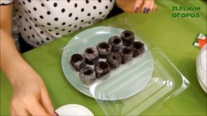 Выращивание КЛУБНИКИ из семян в ТОРФЯНЫХ ТАБЛЕТКАХ! Советы от ЗЕЛЕНОГО ОГОРОДА!.