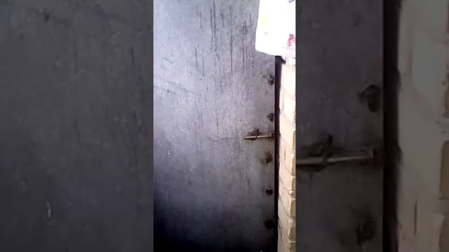 Мой вид с пятого этажа! смотреть онлайн