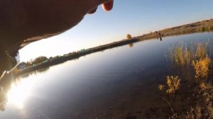 Рыбхоз Азарт. Рыбалка на спиннинг! Ловля щуки на джиг. Комплекс азарт порадовал уловом! ЩУКА ОСЕНЬЮ