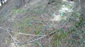 Поездка за грибами на Renault Duster (рено дастэр) обернулась засадой!!!.