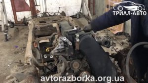 Двигатель 1 KD-FTV Toyota Prado 120.Замер компрессии. Триал Авто Украина