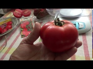 Томат Партнёр от ф. Семко один из любимых.