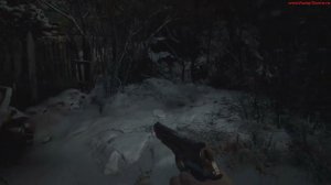 RE: Village - Ожерелье с двумя зазорами. Где искать все части?